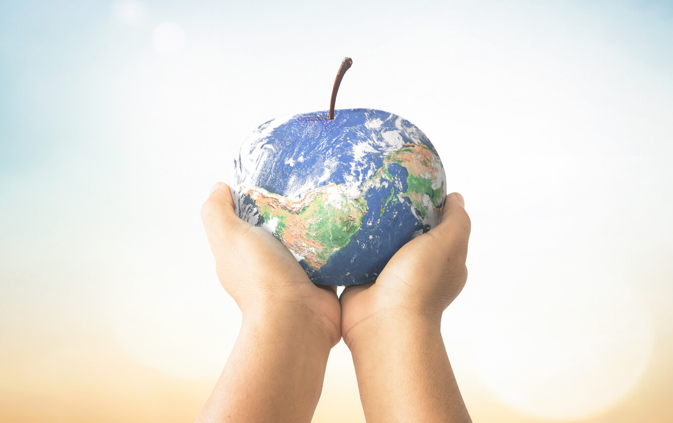 Reduziere einfach deinen ökologischen Fußabdruck