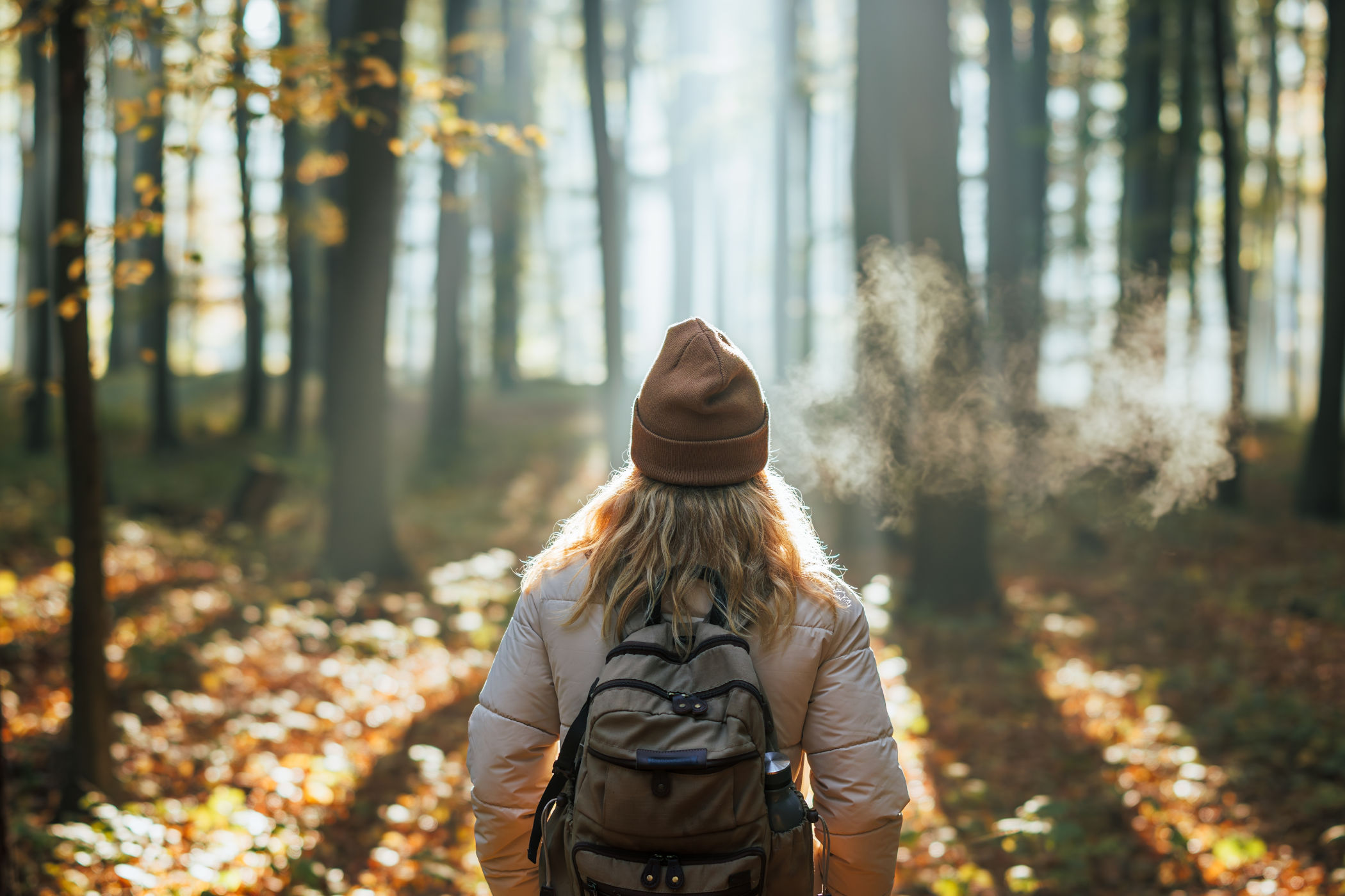 Lichtung im Wald