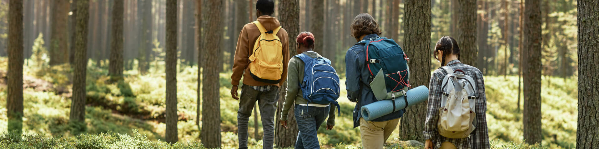 Personen mit Rucksäcken wandern durch den Wald.