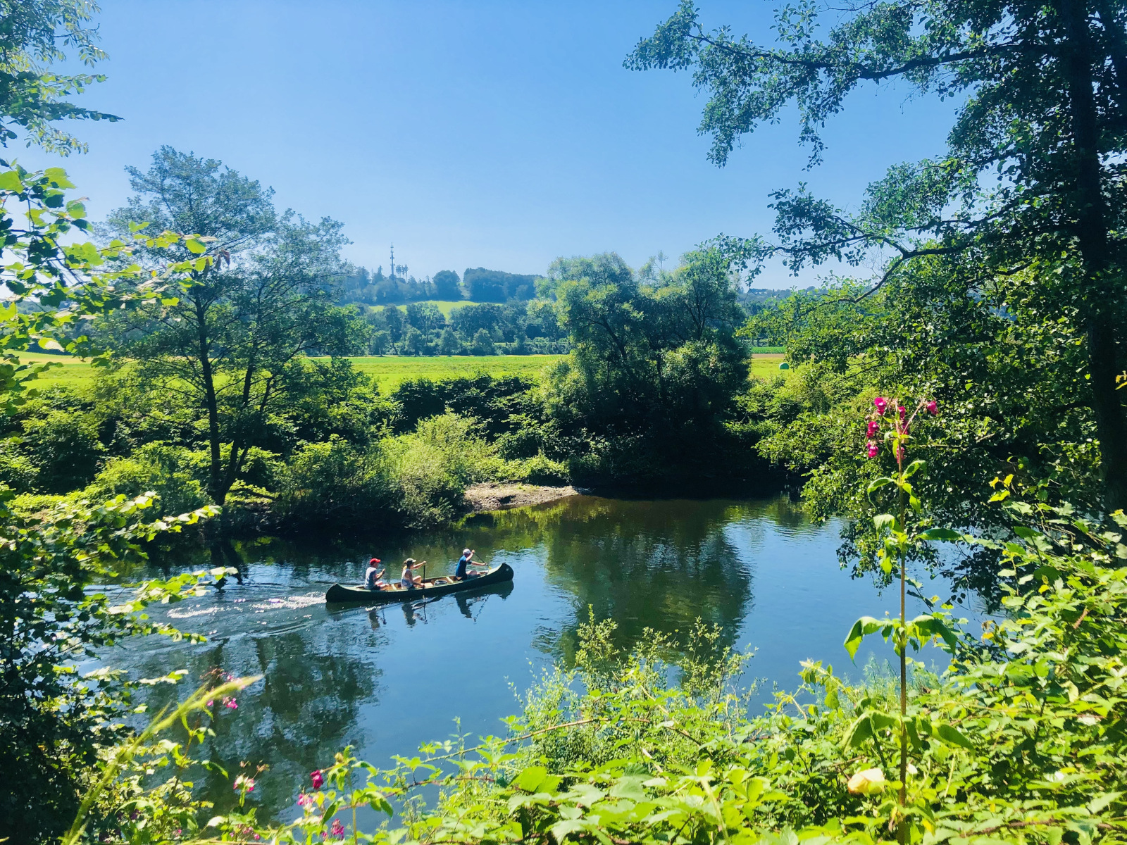 Wandern auf dem Dreitälerweg: Natur & Kultur im Rhein-Sieg-Kreis