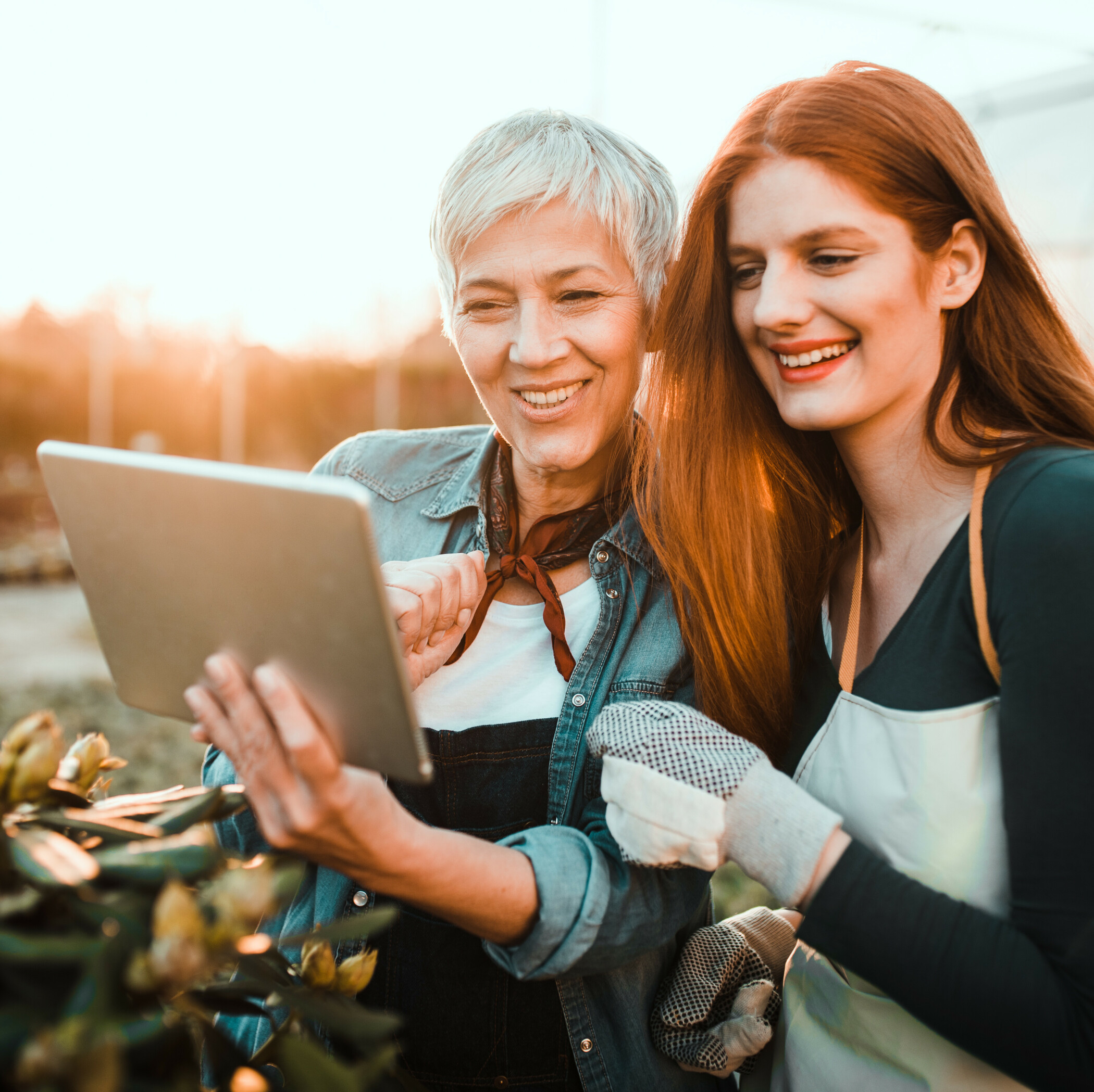 Ältere Frau zeigt jüngerer Frau mit roten Haaren etwas im Tablet, während sie draußen im Garten im Sonnenuntergang arbeiten.