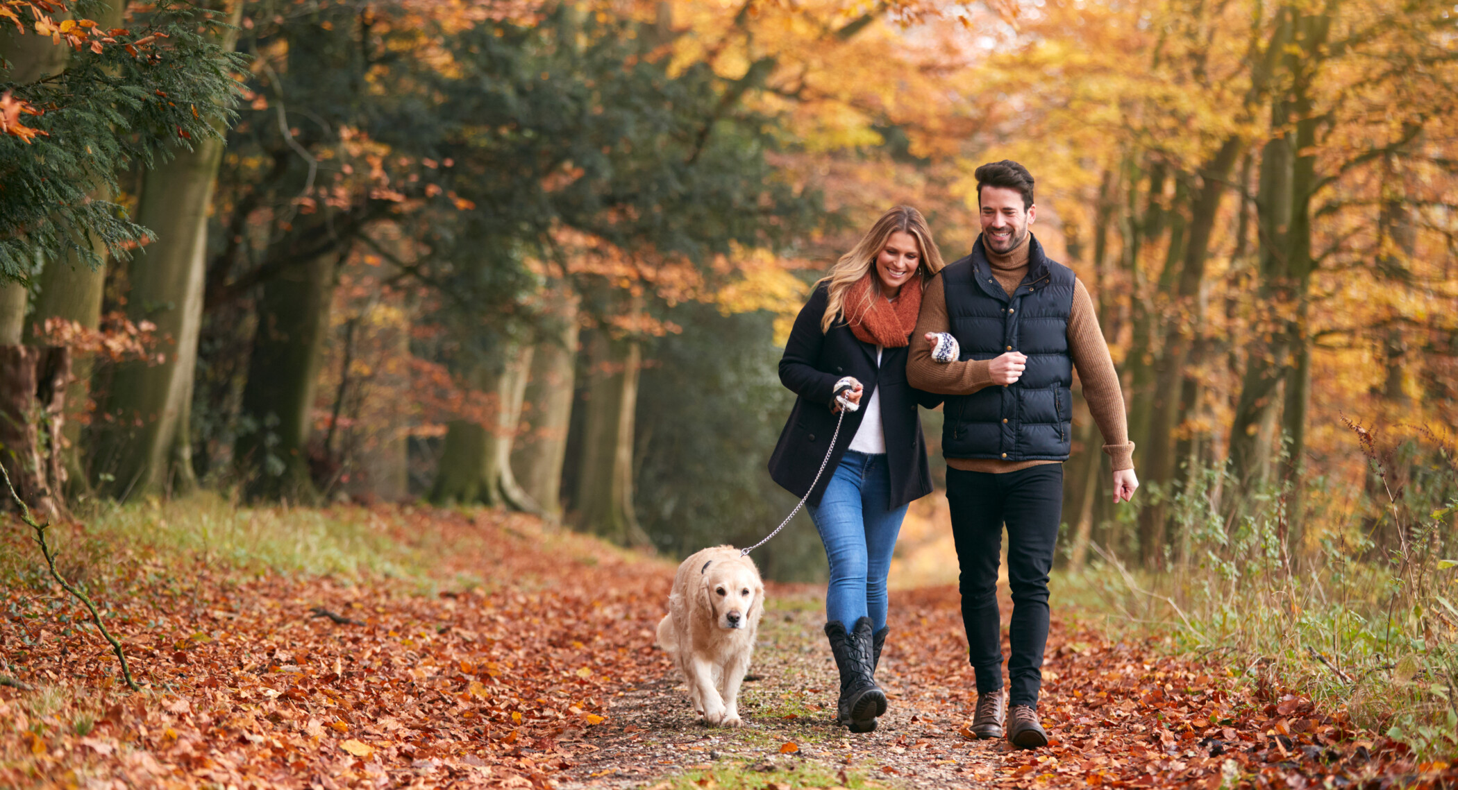 Zwei Personen gehen mit Hund im Herbst zügig über einen bunten Laubweg im Wald spazieren.ückliches Paar am Umzugstag mit Schlüssel in heller neuer Wohnung voller Umzugskartons.