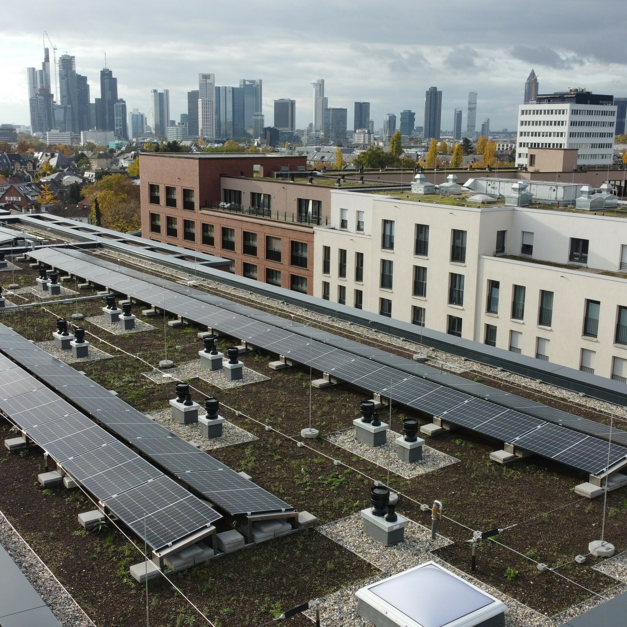 Photovoltaikmodule auf einem Flachdach in einer Großstadt.