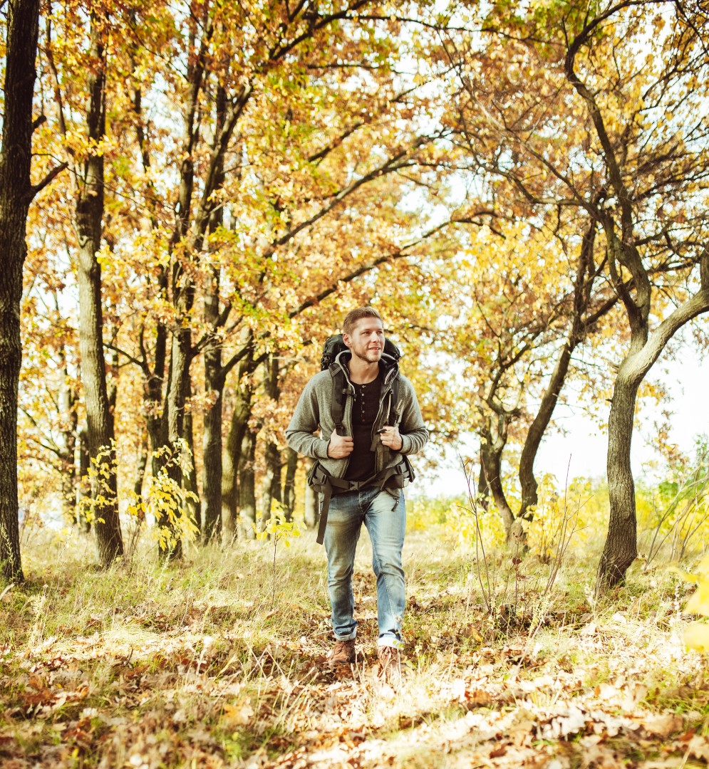 wunderschöne Herbstnatur