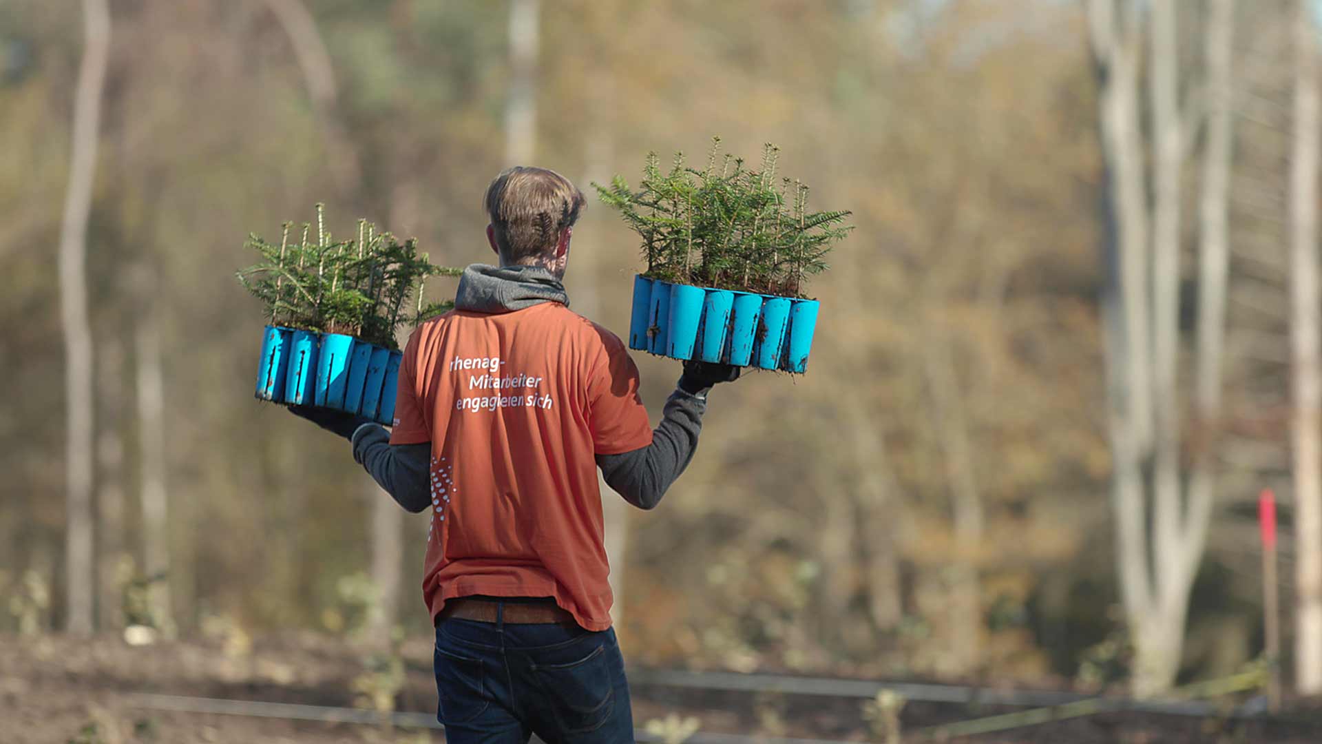 Warum uns der Wald so wichtig ist