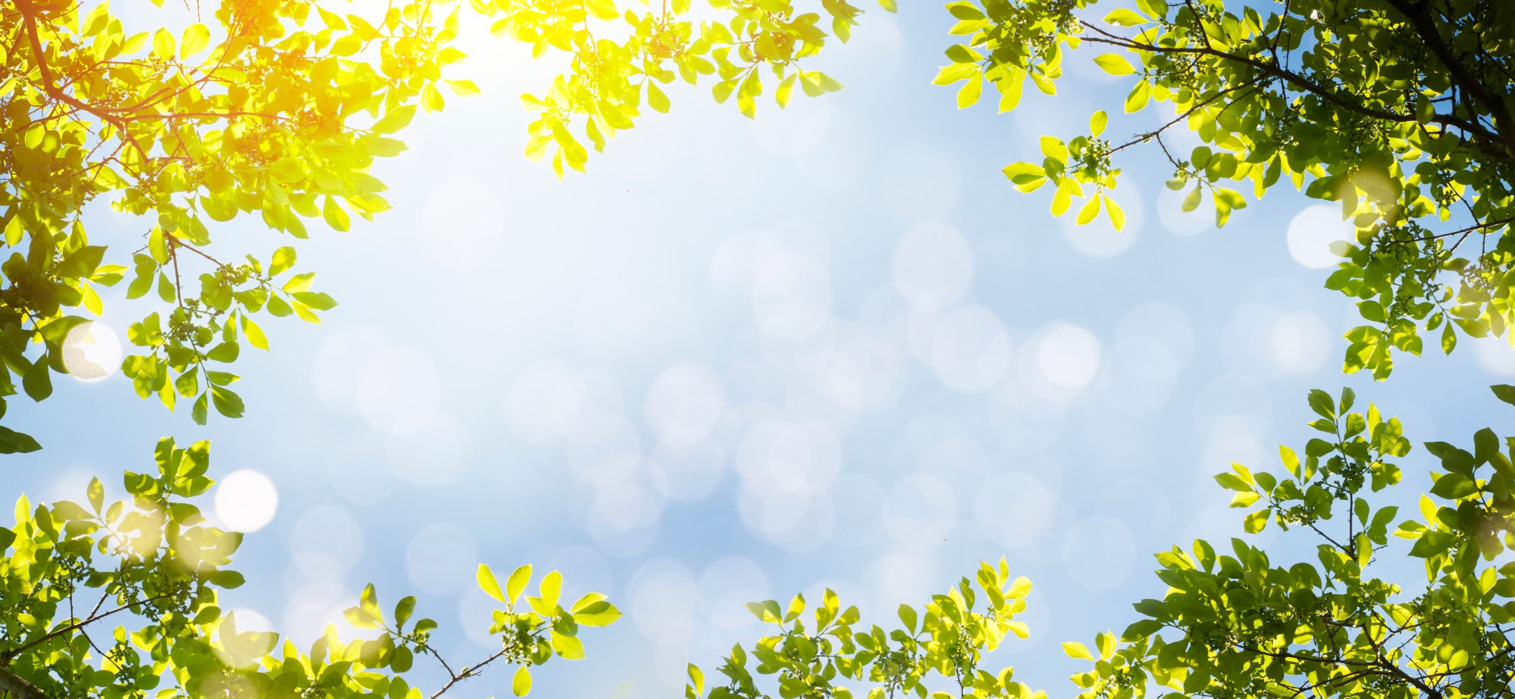 Frühlingserwachen und Biodiversität