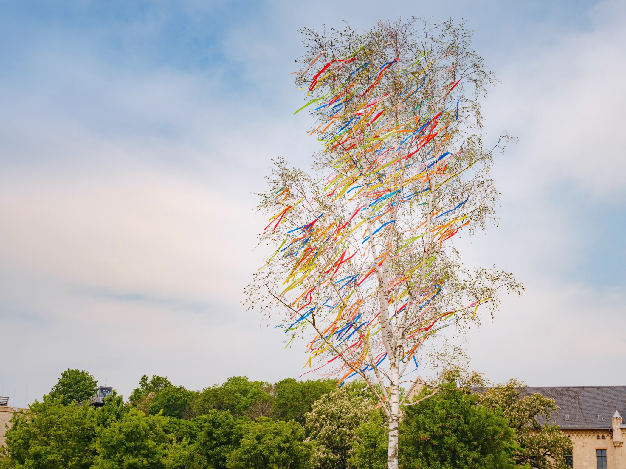 1. Mai im Rhein-Sieg-Kreis: Traditionen, die verbinden | rhenag Energie