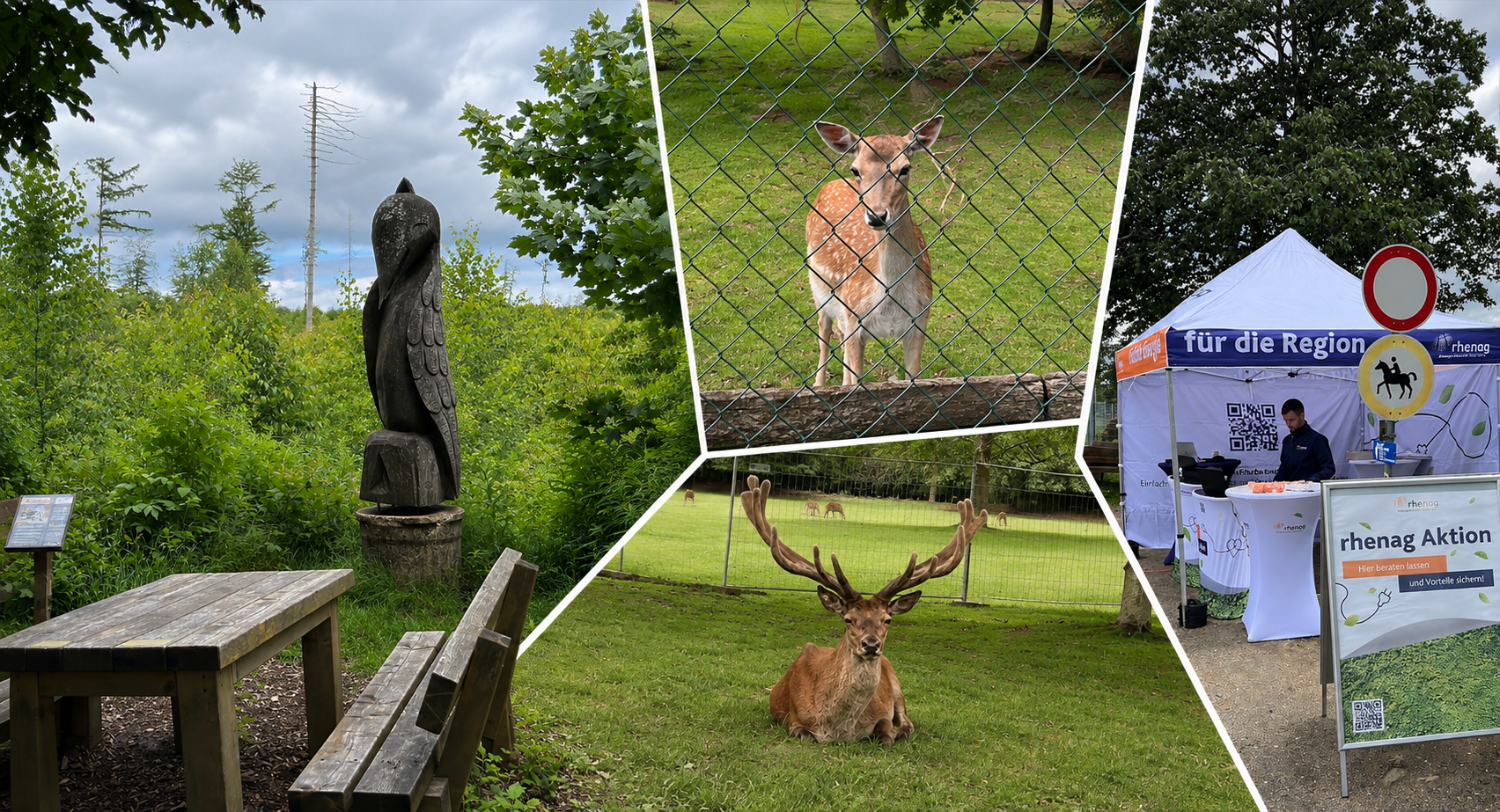 Energieberatung mitten im Grünen: Wie aus einer Aktion im Wildpark Bad Marienberg eine Spende für den Tierpark wurde