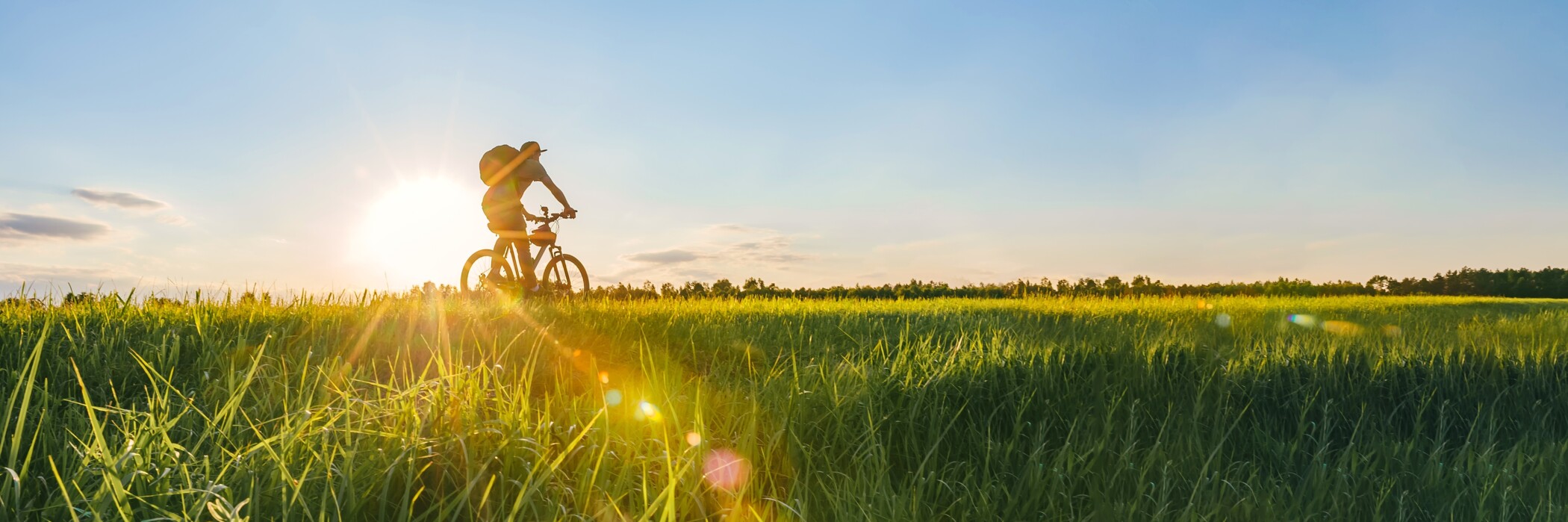 Routentipps für die Siegschleife im Rhein-Sieg-Kreis