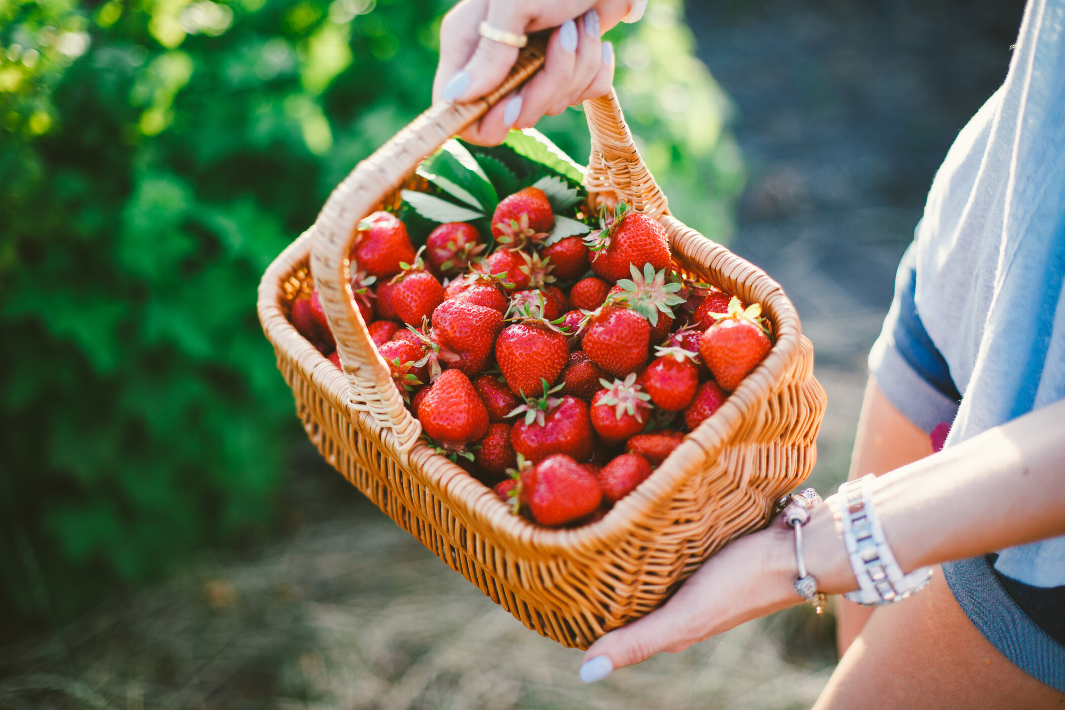 Warum regionale Beeren so gut für Körper und Klima sind.