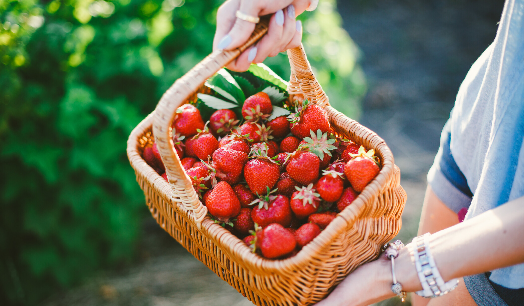 Warum regionale Beeren so gut für Körper und Klima sind.