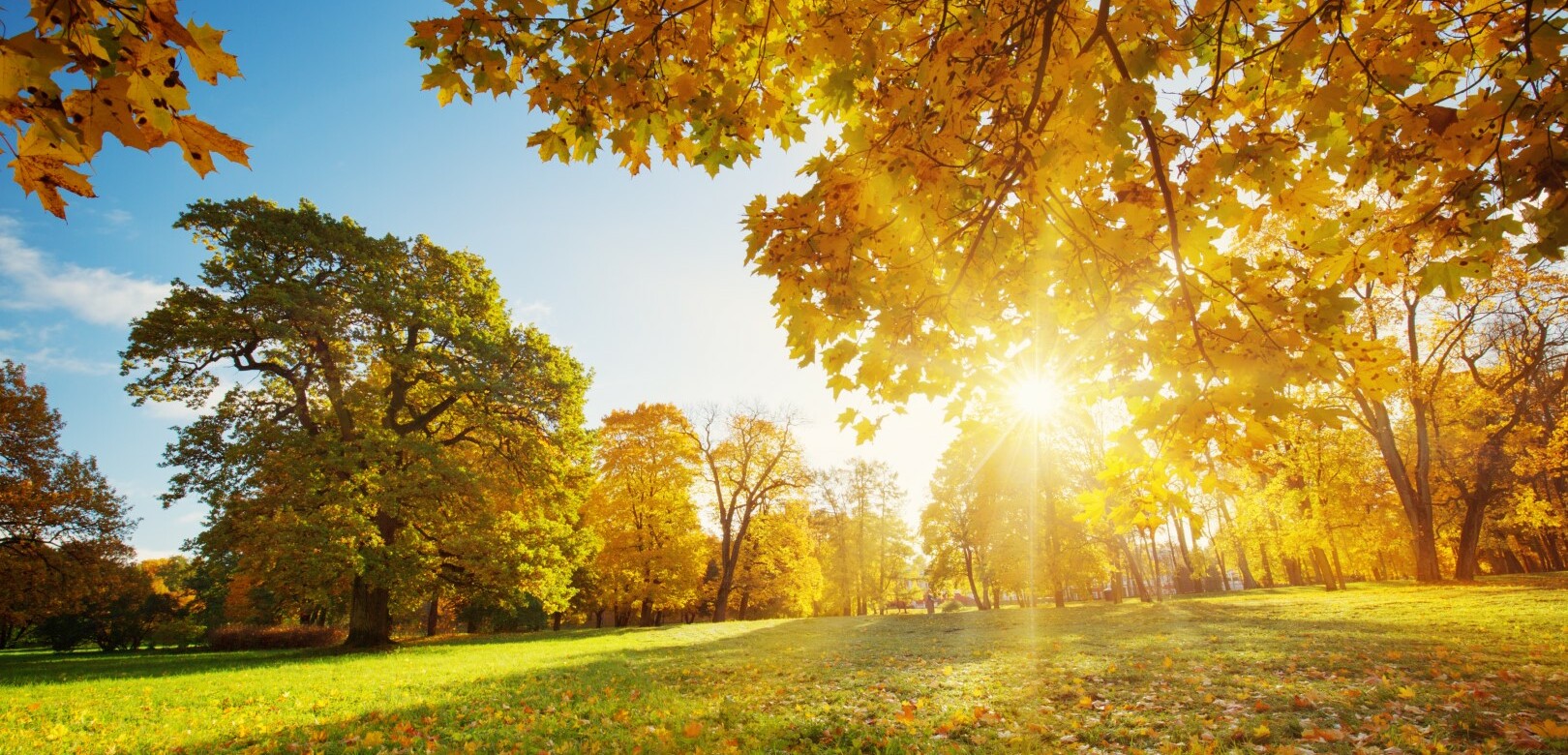 wie kühle Temperaturen die Effizienz Ihrer PV-Anlage steigern