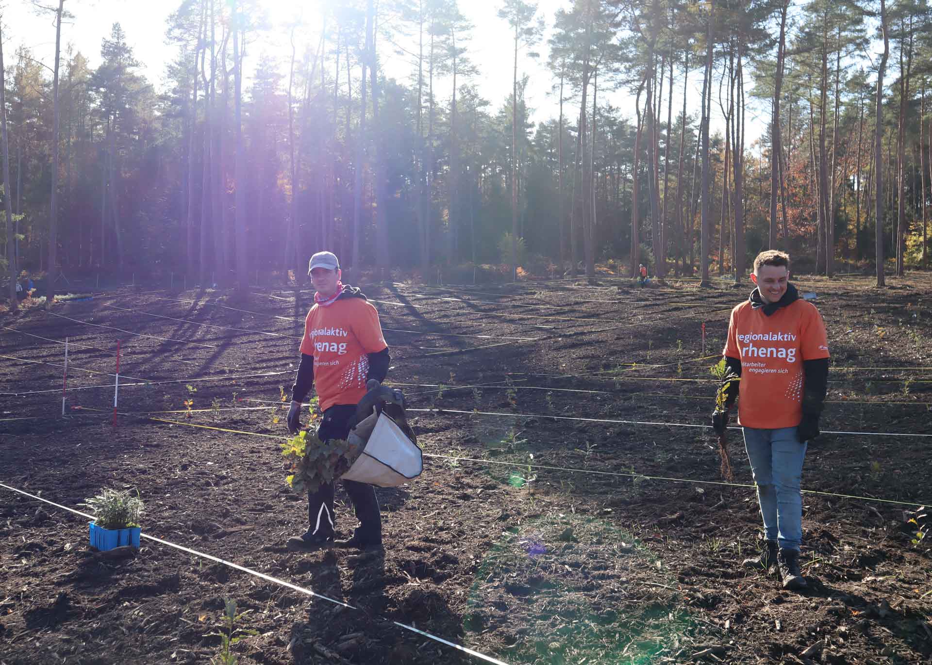 rhenag Mitarbeiter pflanzen Baumsetzlinge im Zukunftswald.