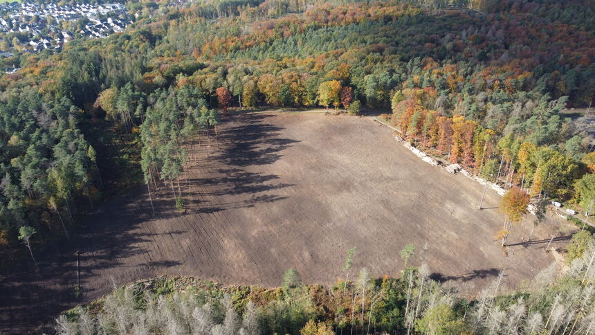 Kahle Fläche im Wald in Siegburg Kaldauen.