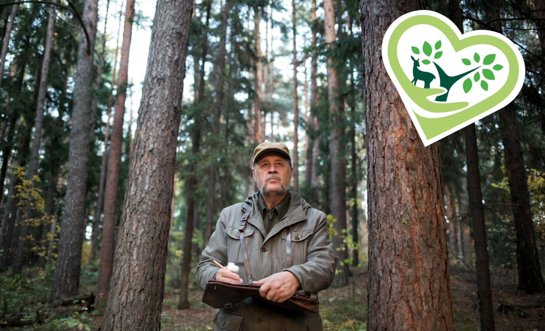 Nachhaltiger Waldschutz und regionale Aufforstungsprojekte