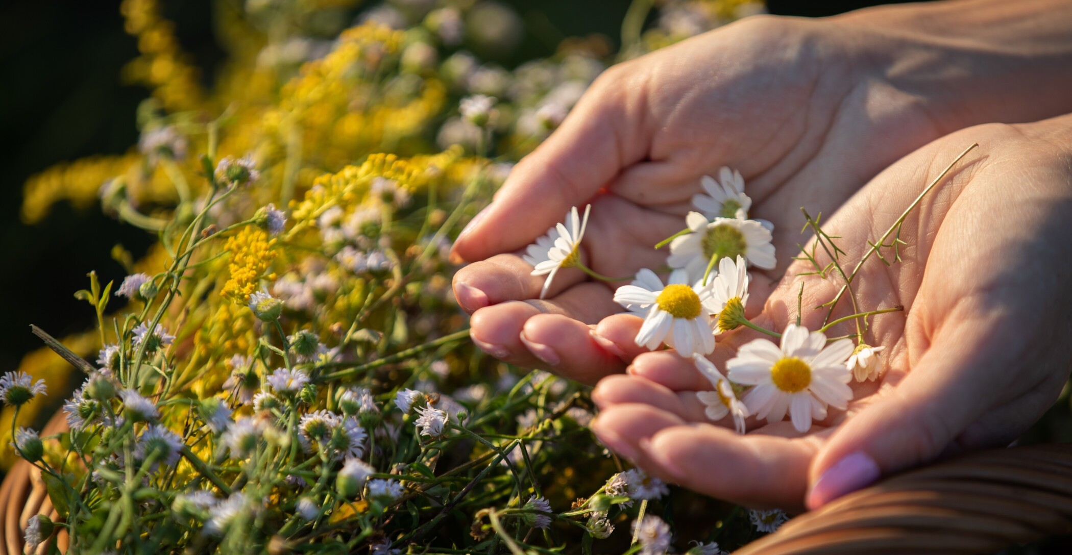 So putzen Sie günstiger, gesünder und nachhaltiger
