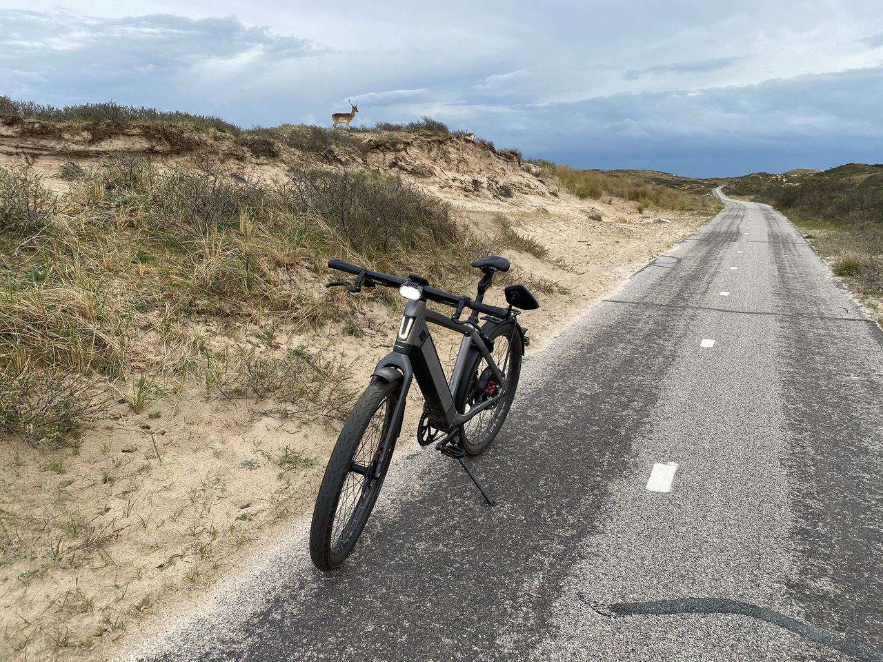 E-Bike von rhenag