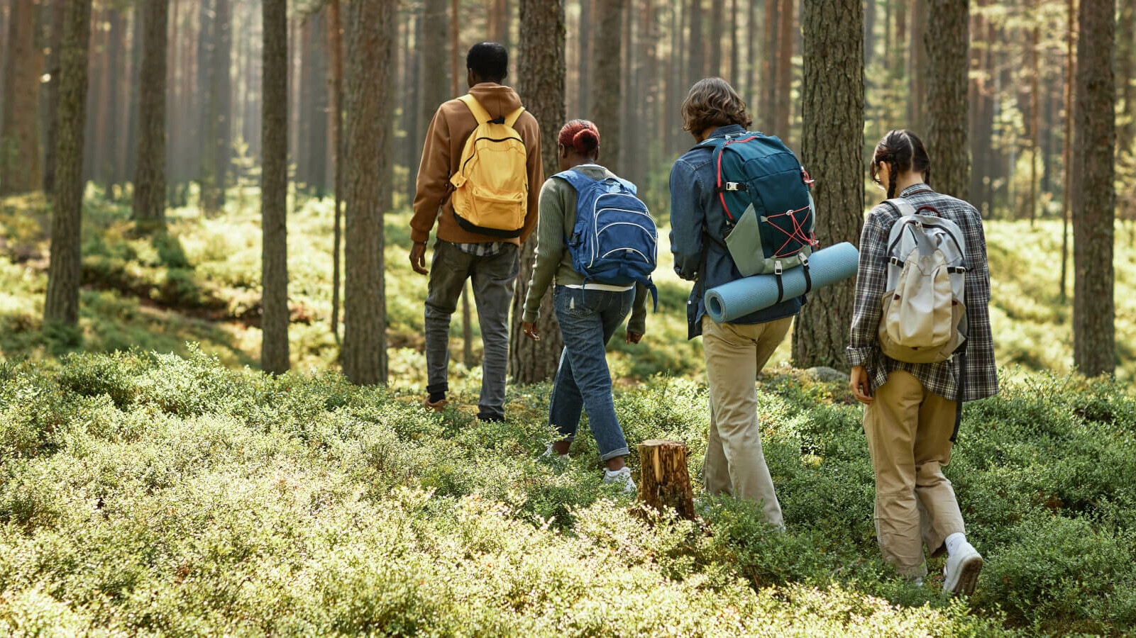 Personen mit Rucksäcken wandern durch den Wald.