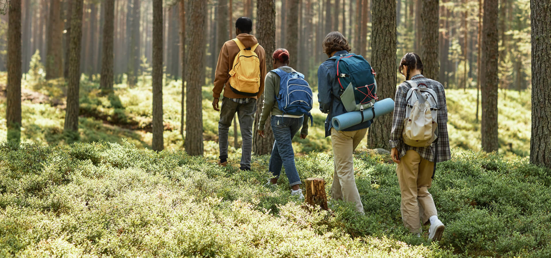 Personen mit Rucksäcken wandern durch den Wald.