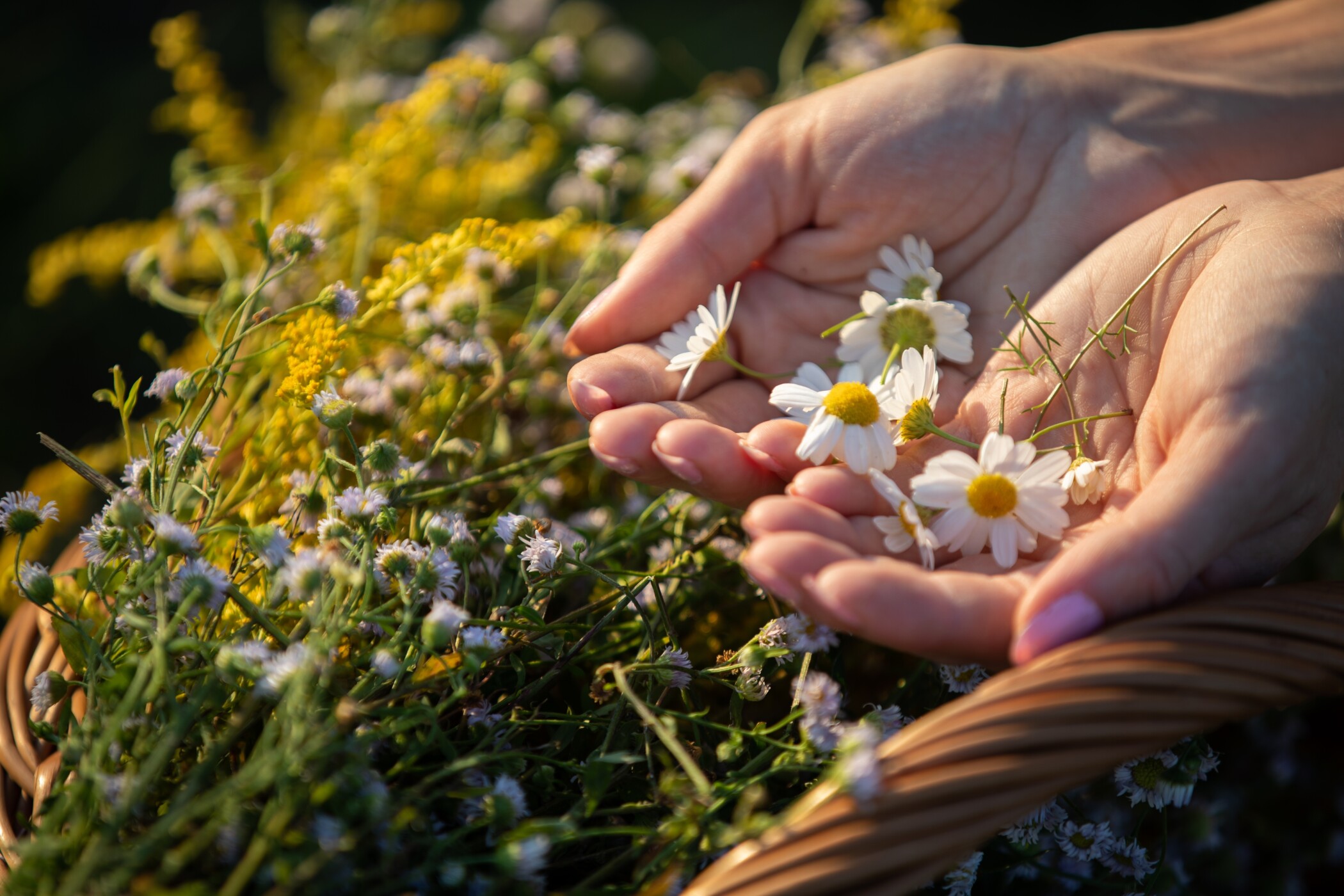 So putzen Sie günstiger, gesünder und nachhaltiger
