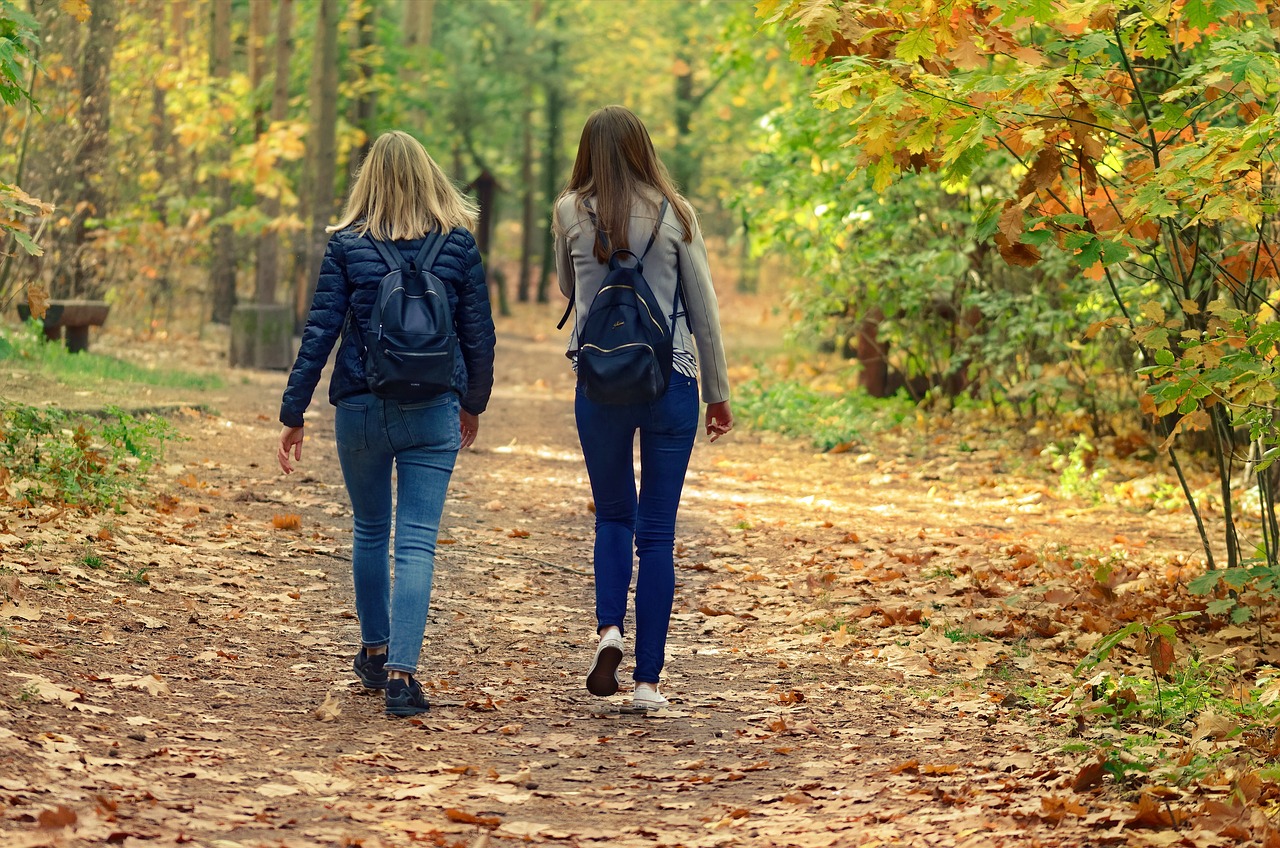 Waldtherapie: Wie Bäume unsere Gesundheit fördern